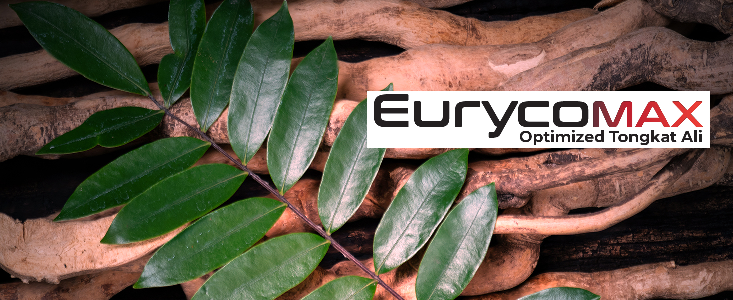 Eurycomax Optimized Tongkat Ali over fresh tongkat ali roots and green leaves, herbal supplement branding.