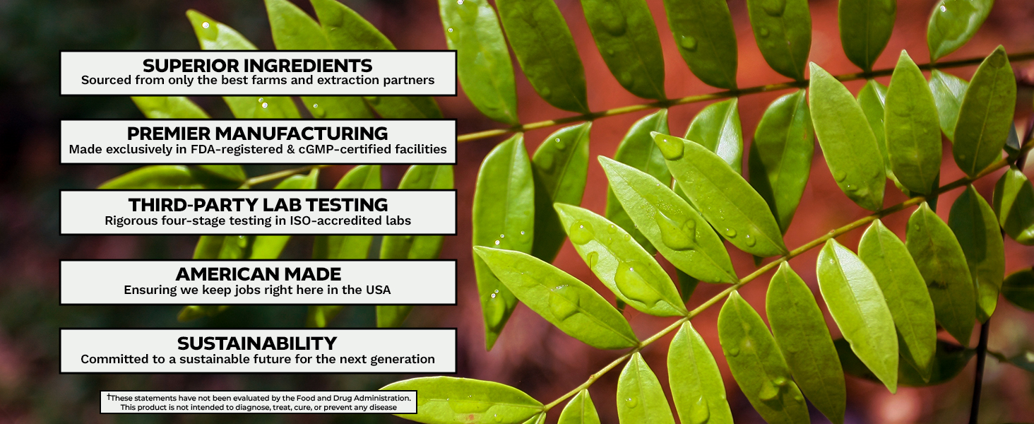 Nootropics Depot quality standards for Eurycomax optimized Tongkat Ali: superior ingredients, premier manufacturing, third-party lab testing, American made, sustainability.