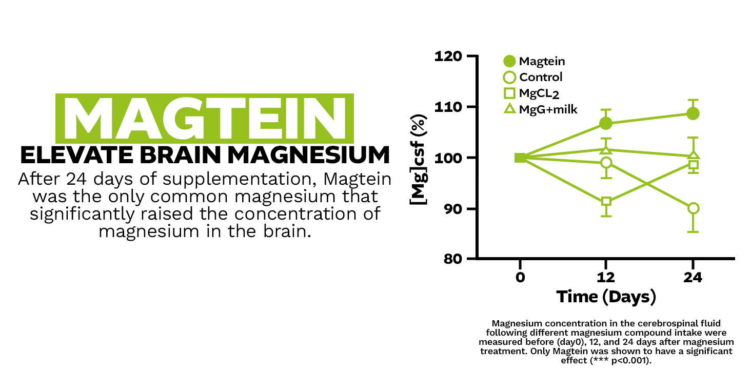 Graph showing Magtein's superior brain magnesium elevation compared to other magnesium forms over 24 days, with explanatory text about blood-brain barrier penetration