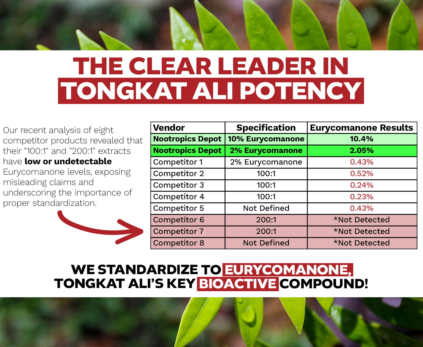 Comparative analysis chart showing Nootropics Depot's superior Tongkat Ali eurycomanone content versus eight competitors against green leaf background