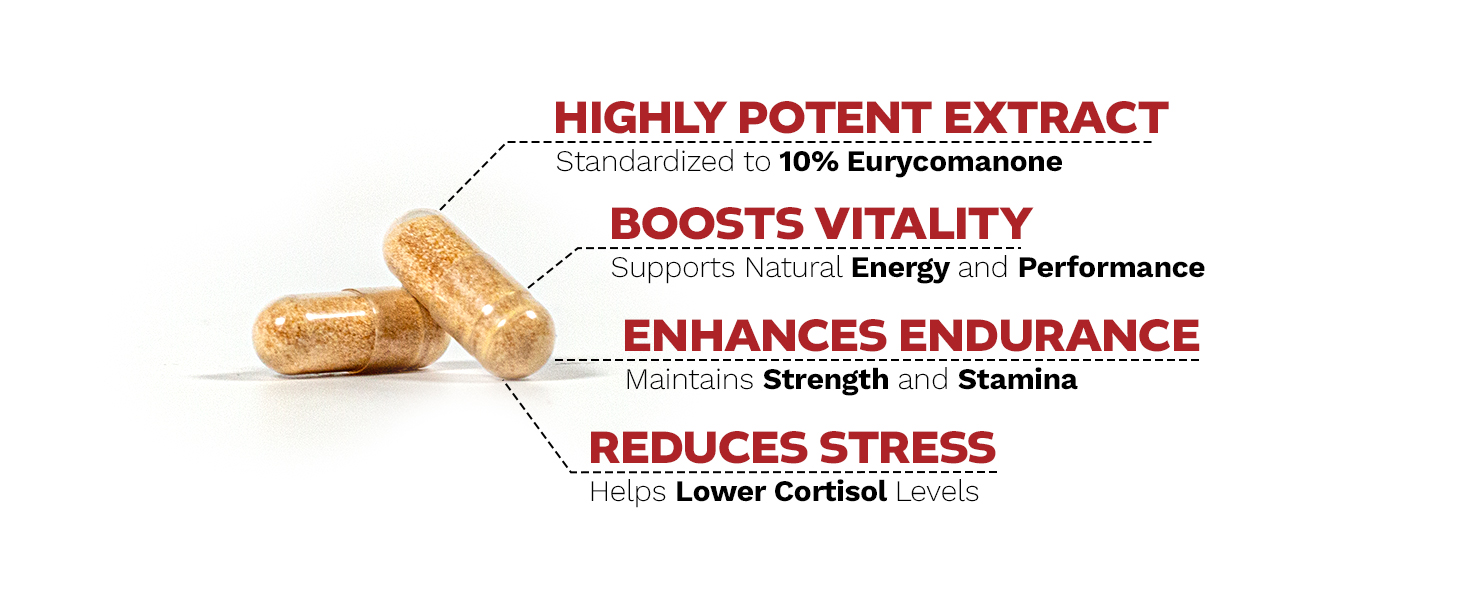 Two golden-brown Tongkat Ali capsules with text highlighting 10% Eurycomanone extract benefits: vitality, endurance, and stress reduction