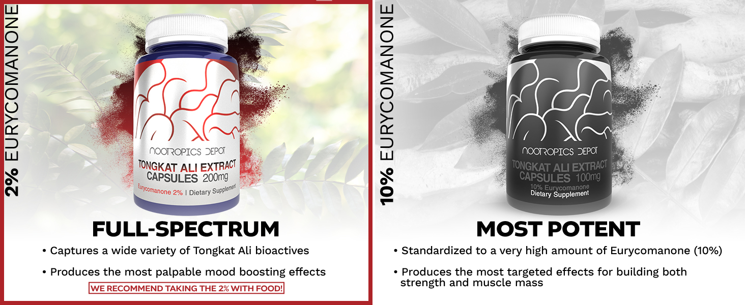 Comparison of Nootropics Depot Tongkat Ali Extract capsules: 2% Eurycomanone in a red-accented bottle for full-spectrum bioactives and mood support, and 10% Eurycomanone in a black-accented bottle for potent strength and muscle mass benefits.