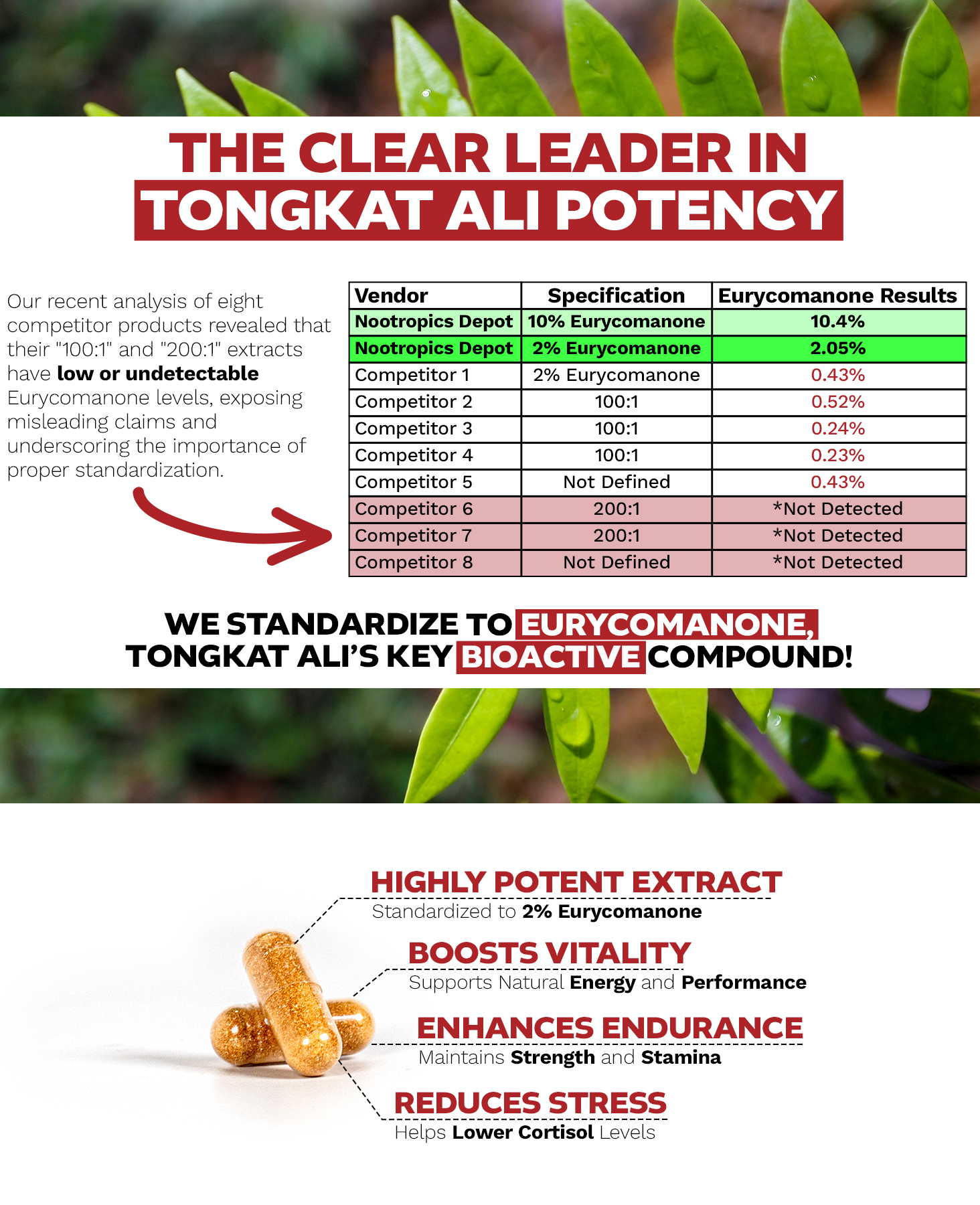 Comparison chart highlighting Nootropics Depot as the leader in Tongkat Ali potency with standardized Eurycomanone levels, alongside capsules emphasizing benefits like vitality, endurance, and stress reduction.