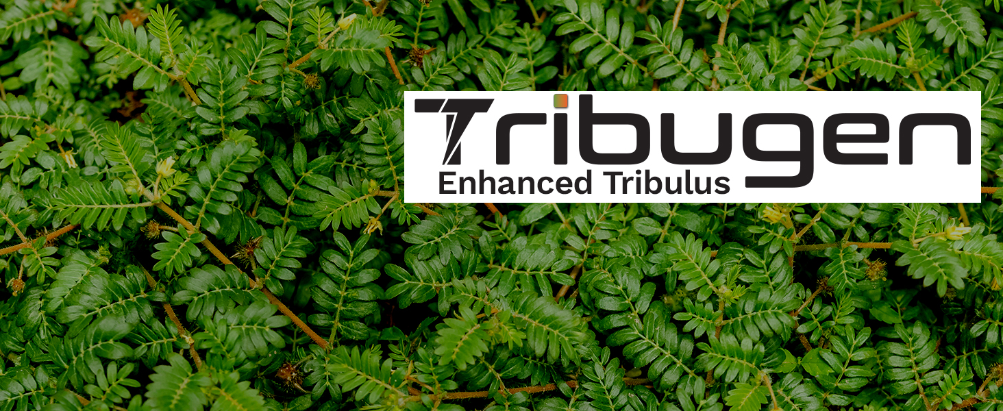 Tribugen Enhanced Tribulus logo on lush green tribulus terrestris leaves background.
