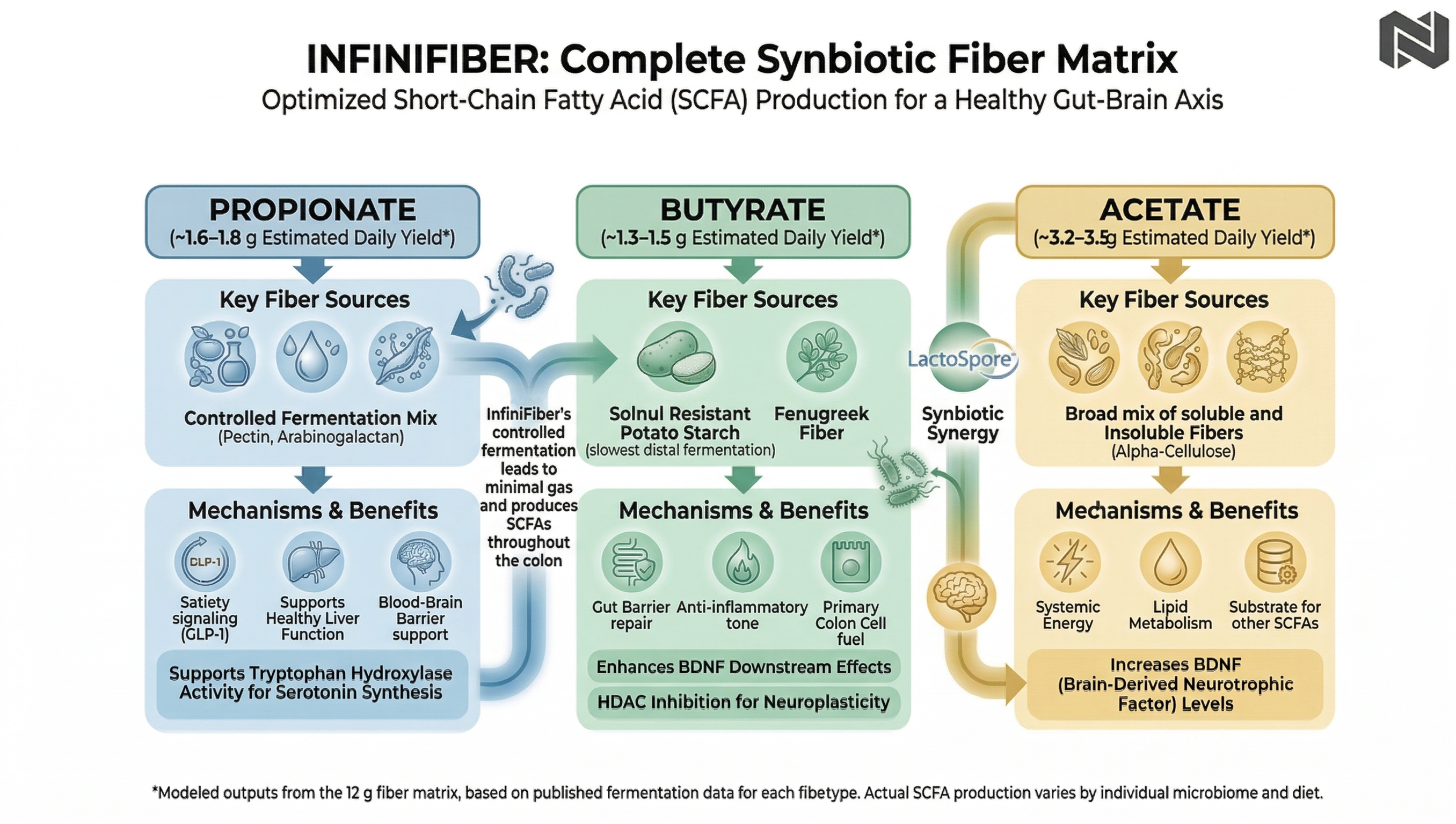 InfinFiber - Short Chain Fatty Acid Profile