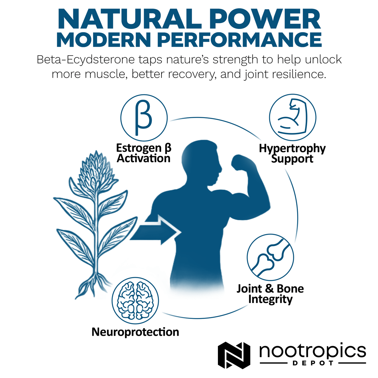 Orisilico 1400mg Beta Ecdysterone And Turkesterone Supplements - Foto 10