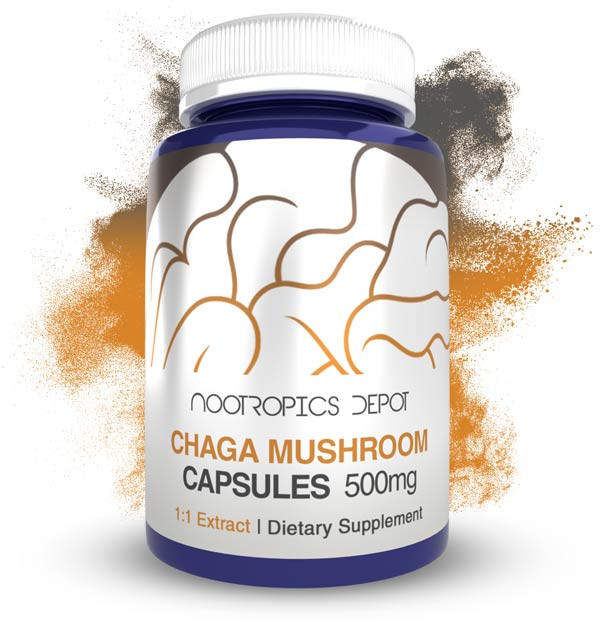 Nootropics Depot Chaga mushroom capsules bottle