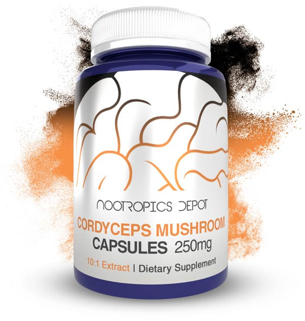 Nootropics Depot Cordyceps 10:1 Capsules bottle