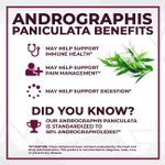 Andrographis paniculata Capsules | 50% Andrographolides