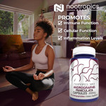 Andrographis paniculata Capsules | 50% Andrographolides