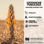 Cistanche Ultra Potent Extract Powder