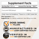 Curcumin 95% Extract Powder