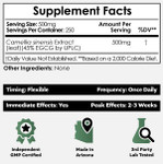 Green Tea Extract Powder