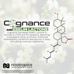 Cognance Enhanced Bacopa Powder