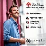 KSM-66 Capsules | Ashwagandha Root