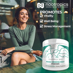 Panax Ginseng Root Extract  Powder