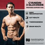 Cyanidin 3-Glucoside Capsules