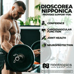 Dioscorea nipponica Capsules | 40% Protodioscin