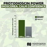 Dioscorea nipponica Capsules | 40% Protodioscin