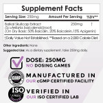 Baikal Skullcap Extract Powder