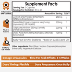 Epicomp | Body Recomposition Enhancer
