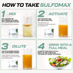 SulfoMax | World's Highest Sulforaphane