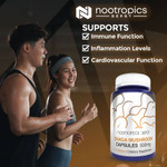 Chaga Mushroom Capsules