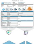 Cordyceps Mushroom 10:1 Dual Extract Capsules
