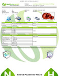 LucidiSPORE™ Softgels | Super Critical CO2 Reishi Spore Oil