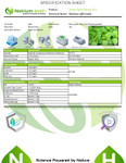 Sleep Support Capsules | Natural Sleep Aid