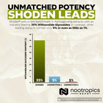 Shoden® Ashwagandha Capsules