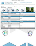 Quercetin Tablets | 95% Anhydrous