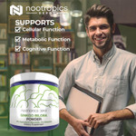 Ginkgo biloba Extract Powder