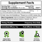 Ginkgo biloba Extract Tablets