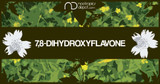 ​7,8-Dihydroxyflavone: A Brain Health Supplement That May Support Neuroplasticity