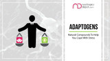 Ultimate Guide to Nootropics | Part 4 | Adaptogens