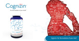 Cognizin Citicoline: A Choline Supplement That Supports Healthy Brain Function