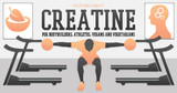 Creatine: A Nootropic for Bodybuilders, Athletes, Vegans, and Vegetarians