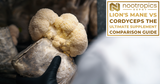 Lion's Mane vs Cordyceps: The Ultimate Supplement Comparison Guide