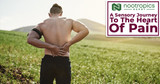 A Sensory Journey To The Heart Of Pain