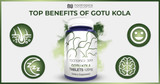 Gotu Kola Benefits - How This Ayurvedic Herb Supports Cognition, Sleep, and Skin Health