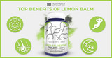 The Top Benefits of Lemon Balm Extract (Melissa officinalis)