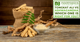 Tongkat Ali vs Ashwagandha: Which One Is Right For You?