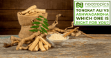 Tongkat Ali vs Ashwagandha: Which One Is Right For You?