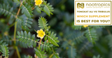 Tribulus vs. Tongkat Ali: Which Supplement Is Right for You?