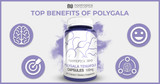 Top Benefits Of Polygala tenuifolia (Yuan Zhi)