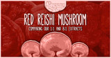 Which is the Best Red Reishi Mushroom Extract For You? 