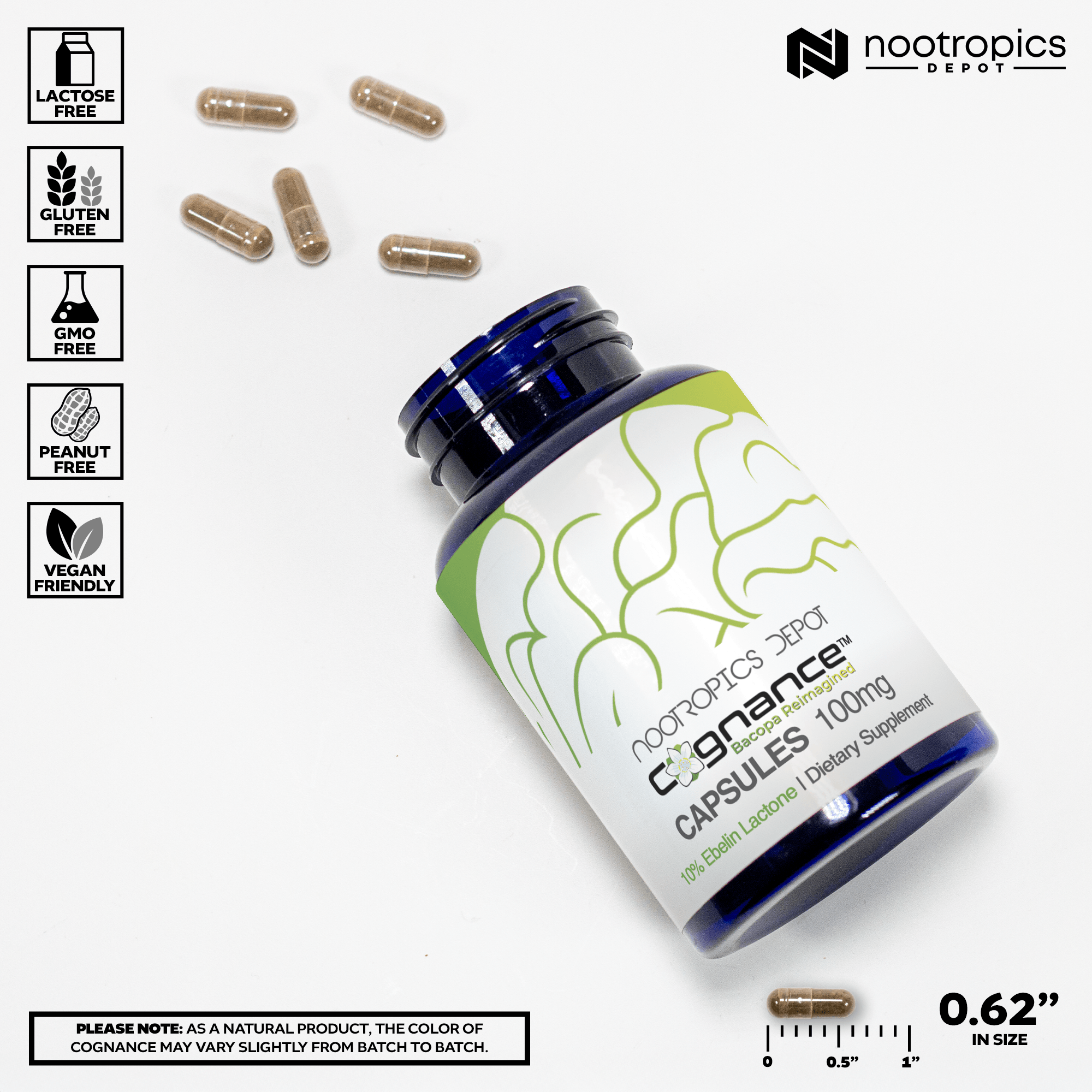 Cognance Enhanced Bacopa Capsules – Advanced Bacopa Monnieri for