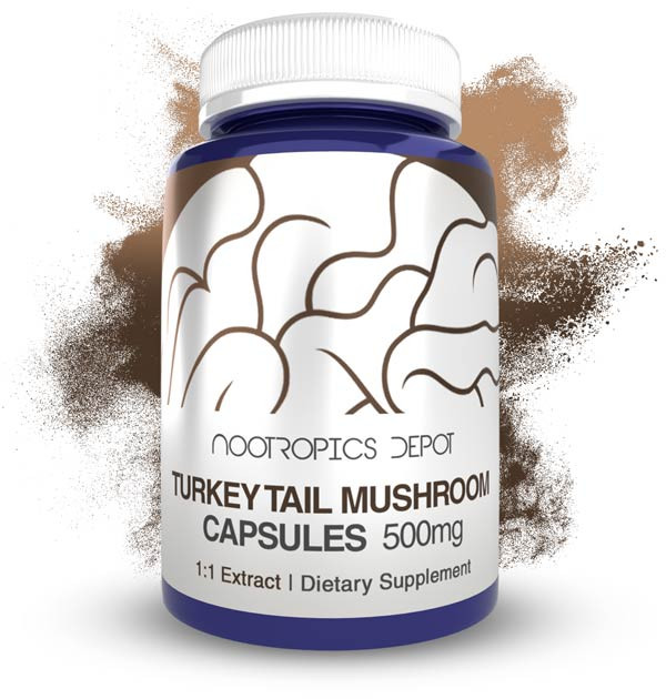 Nootropics Depot Turkey Tail Mushroom Extract Capsules bottle