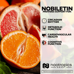 Nobiletin Capsules